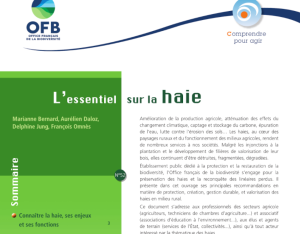 L’essentiel sur la haie | OFB