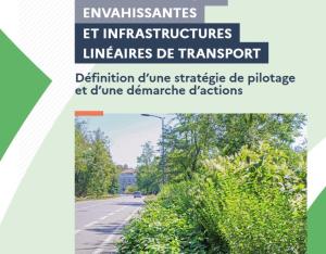 Espèces exotiques envahissantes et infrastructures linéaires de transport - Définition d'une stratégie de pilotage et d'une démarche d'actions | CEREMA