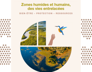 Dossier "Zones humides et humains, des vies entrelacées" | Ramsar France