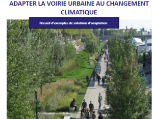 Adapter la voirie urbaine au changement climatique | CEREMA