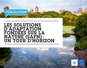 Les Solutions d’adaptation fondées sur la Nature (SafN) : un tour d’horizon