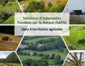 Solutions d'adaptation fondées sur la nature (SaFN) dans 4 territoires agricoles 