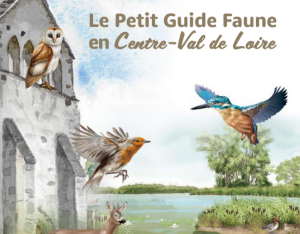 Le Petit Guide Faune en Centre-Val de Loire | Chasseurs du Centre-Val de Loire