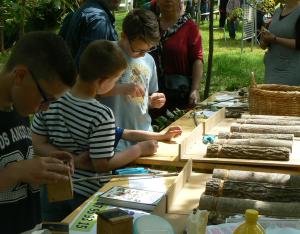 Récap' d'indicateur : éducation à la biodiversité