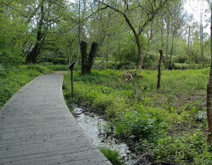 CP - Nouvelles visites pour le Biodiv'tour 