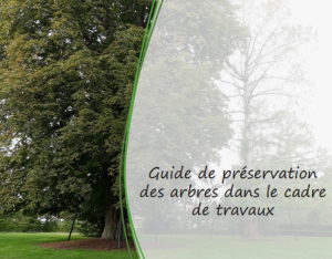 Guide de préservation des arbres dans le cadre de travaux | Orléans Métropole