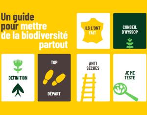 Kit biodiversité entreprises : un guide pour mettre la biodiversité partout 