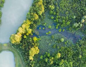 [Pôle Gestion des milieux naturels] Démonstration technique sur les Pelouses et Marais de Roussy (Indre)