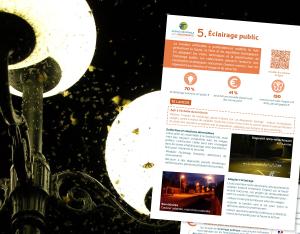Fiche action - Collectivités & biodiversité - 5. Éclairage public