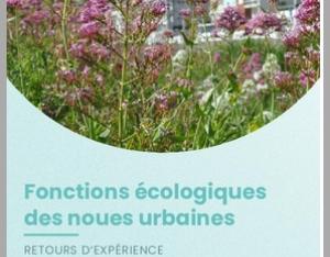 Fonctions écologiques des noues urbaines : retours d'expérience