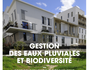 Gestion des eaux pluviales et biodiversité | ARB Île-de-France