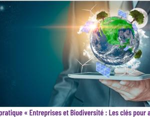 Guide pratique « Entreprises et Biodiversité : Les clés pour agir » | MEDEF