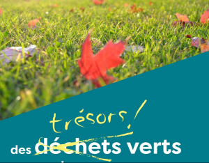 Gestion des déchets verts | Fredon France