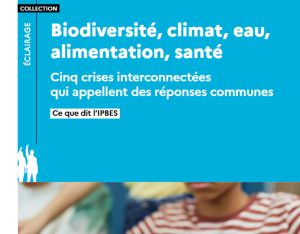 Biodiversité, climat, eau, alimentation, santé : 5 crises interconnectées, le rapport de l'IPBES | OFB