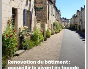  Rénovation du bâtiment : accueillir le vivant en façade. Série de 4 fiches techniques | Plante&Cité