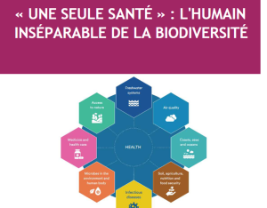 Cahier "Une seule santé : l'humain inséparable de la biodiversité"