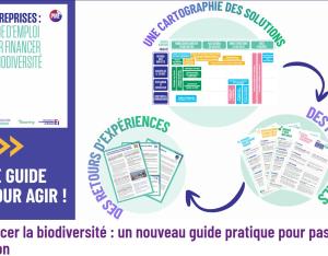 Entreprises : mode d'emploi pour financer la biodiversité (version PME) | MEDEF