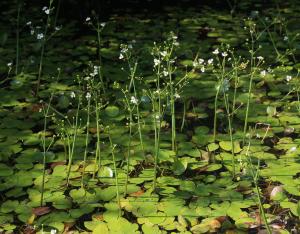 Rapport d'activité 2025