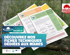 Classeur technique sur les mares | FNE Centre-Val de Loire