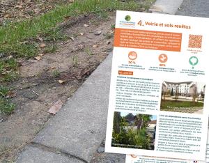 Fiche action - Collectivités & biodiversité - 4. Voirie et sols revêtus
