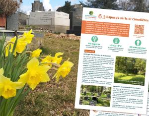 Fiche action - Collectivités & biodiversité - 6.3 Parcs, jardins et cimetières