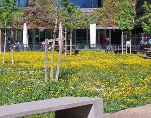 Aménager et gérer durablement un parc d'activités | ARBE Sud