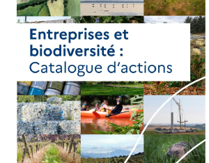 Catalogue d’actions biodiversité pour les entreprises 