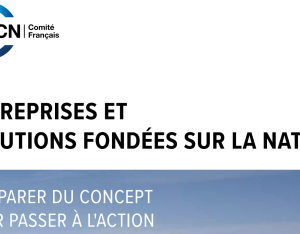 Entreprises et Solutions fondées sur la nature : s’emparer du concept pour passer à l’action | UICN