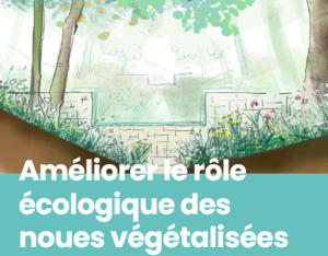 Améliorer le rôle écologique des noues végétalisées | Plante&Cité