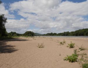 Fiche habitat emblématique : les bancs de sable