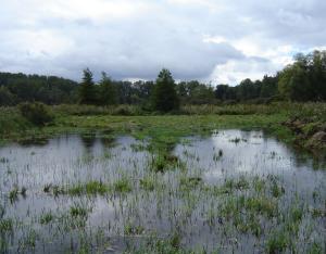 Récap' d'indicateur : gestion des milieux aquatiques et humides