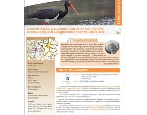 Protection de la Cigogne noire et de ses habitats