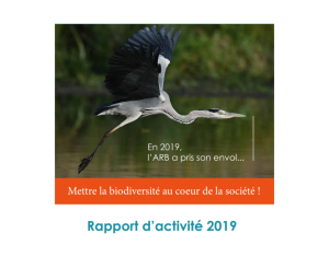 Rapport d'activité 2019