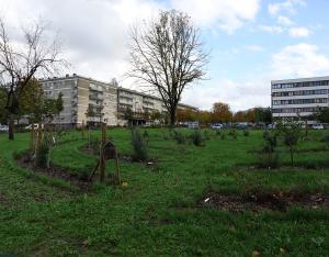 "Jardins citoyens : reconnecter les citoyens à la nature en zone urbanisée"