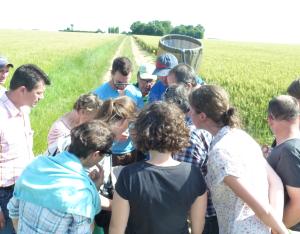 Les agriculteurs de la coopérative de Boisseaux s'engagent pour la biodiversité