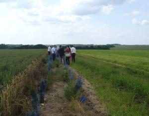 "Des bouchures pour demain" le Pays Castelroussin Val de l'Indre organise une opération collective de plantation de haies