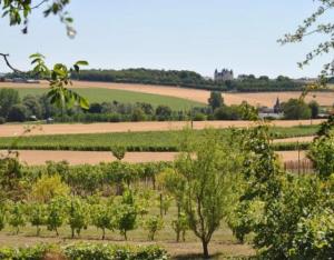 Préservation du patrimoine végétal de la CC Chinon Vienne et Loire grâce au PLUi-h