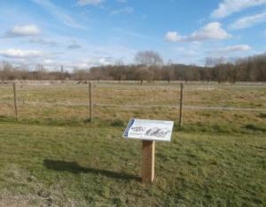 Préservation de la prairie de Luisant