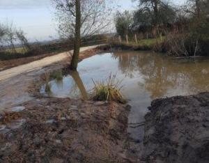 Réhabilitation d'une mare communale à Boulleret pour accueillir les batraciens