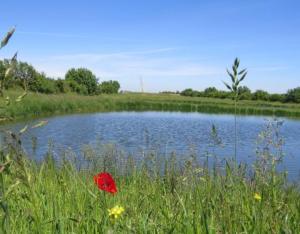 Reconquête de la Biodiversité sur la Vallée des Joncs en revalorisant les eaux usées traitées d'une STEP