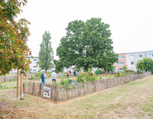 Investir des espaces nourriciers à Saint-Vitte (18) et à Châteauroux (36)