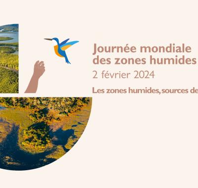 [Mois des zones humides 2024] Animations en région