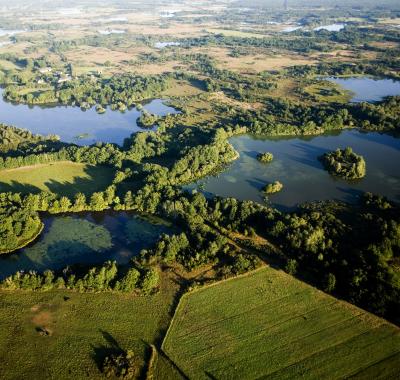 Préserver une des plus grandes zones humides de Centre-Val de Loire | Parc naturel régional de la Brenne