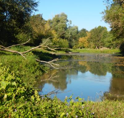 Remettre de la vie dans les rivières | Fédération de pêche d’Indre-et-Loire