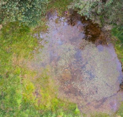 Restaurer les zones humides pour préserver la biodiversité et les continuités écologiques | FNE Centre-Val de Loire 