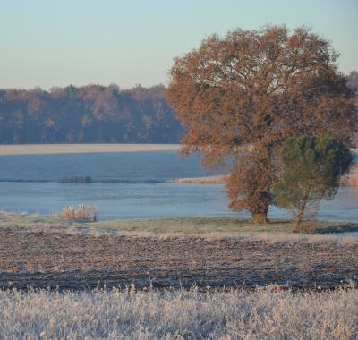 Sensibiliser les jeunes à la préservation des zones humides | CPIE Brenne-Berry 