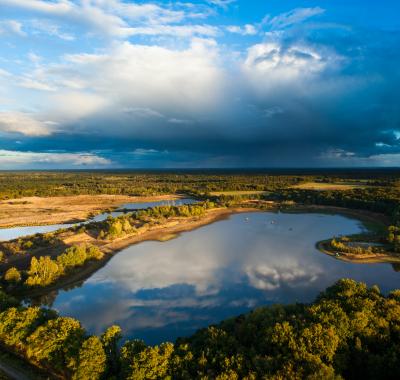 Comprendre l'interdépendance entre l'eau et la biodiversité : les nouvelles données