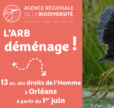 L'Agence déménage !