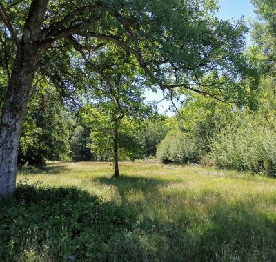 Nouvelle infographie sur la forêt en Centre-Val de Loire
