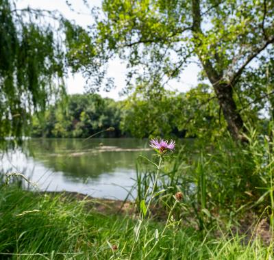 Deux collectivités du Centre-Val de Loire lauréates du concours Capitale Française de la Biodiversité 2025